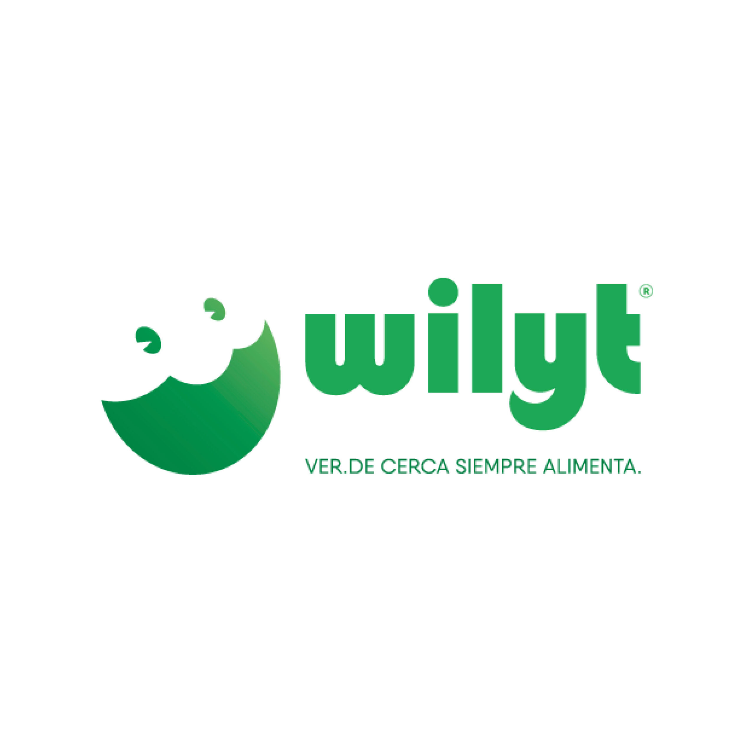 logos_wilyt